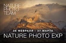 В Галерее Классической Фотографии откроется выставка фотографов дикой природы NATURE PHOTO EXP