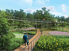 Соблюсти баланс между экологией и инфраструктурой