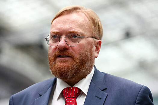 "Пробивает дно своей дырявой клюшкой" - Милонов о Гашеке