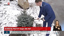 Сотрудники прокуратуры высадили деревья в честь профессионального праздника