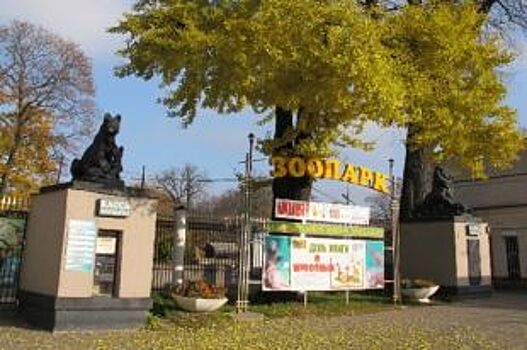 Входную группу Калининградского зоопарка отреставрируют