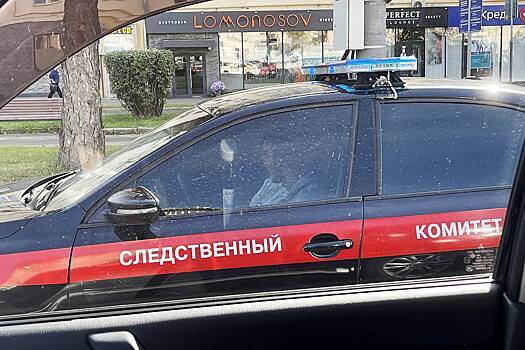 В России иностранный гражданин палками расправился с тремя работниками теплиц