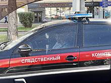 В России иностранный гражданин палками расправился с тремя работниками теплиц