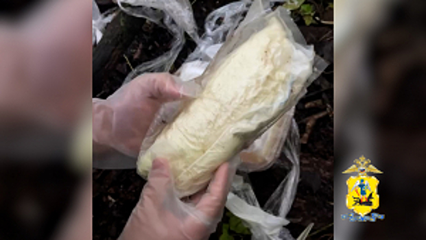 В Архангельской области полицейские пресекли деятельность интернет-магазина, занимавшегося распространением запрещенных веществ на территории областного центра