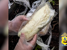 В Архангельской области полицейские пресекли деятельность интернет-магазина, занимавшегося распространением запрещенных веществ на территории областного центра