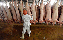 Россия запретила свинину из Молдавии