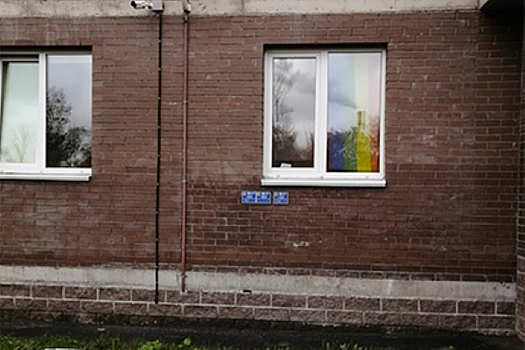 Жильцов в Петербурге заставили снять с окна ЛГБТ-штору