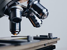 Найдены новые вещества с активностью против рака простаты