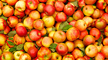Ученые раскрыли полезные свойства яблок для здоровья