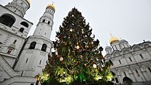 Главную новогоднюю ель России спилили в Подмосковье