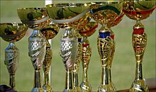 Нижегородские спортсмены получили спортивное звание «Мастер спорта России» и «Мастер спорта России международного класса»