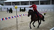 На ВДНХ прошел московский фестиваль конного искусства и спорта