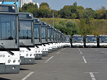 Воробьев назвал главную задачу перевозчиков Подмосковья