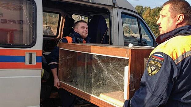 В Балашихе сотрудники «Мособлпожспаса» спасли 12‑килограммового питона