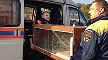 В Балашихе сотрудники «Мособлпожспаса» спасли 12‑килограммового питона