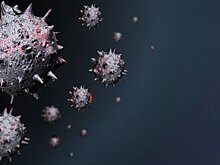 В Индии выявлен новый вариант коронавируса XE