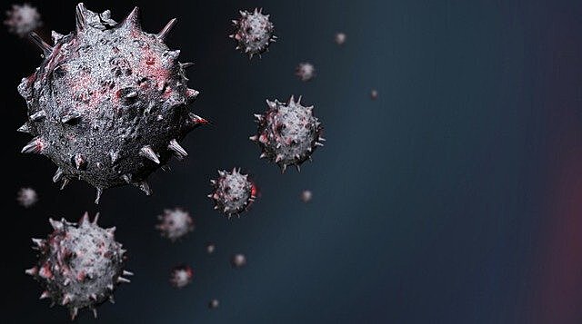 В Индии выявлен новый вариант коронавируса XE