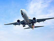 Пьяная дебоширка устроила скандал на рейсе в Новосибирск