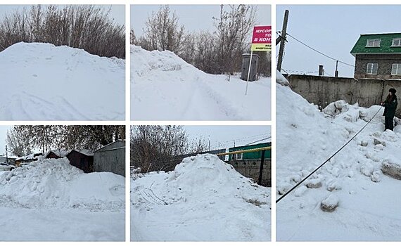 Экологи потребовали убрать пять снежных свалок в Нижнекамске