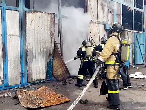 В России за сутки потушили 175 природных пожаров