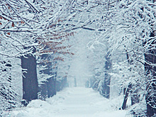 Погода в СНГ: запад Казахстана сковали морозы, циклон «Леони» принес в Беларусь снег и ледяной дождь