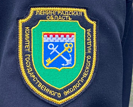Борьба с несанкционированными свалками в Ленобласти: итоги октября
