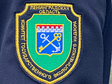 Борьба с несанкционированными свалками в Ленобласти: итоги октября