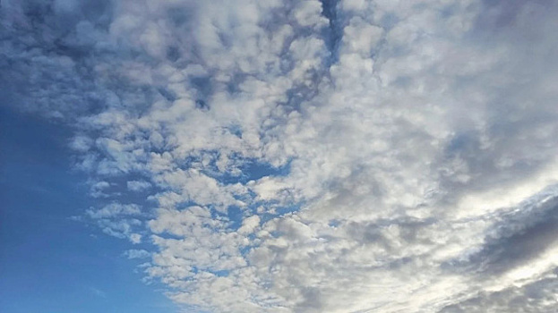 Стало известно, какая погода будет в Самарской области в последнюю неделю марта