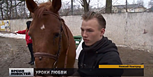 Занятия для трудных подростков проводят в нижегородском конном клубе