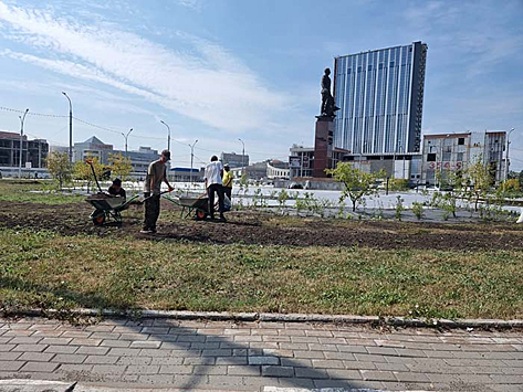 Завершается озеленение центра площади Карла Маркса