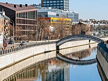 Более 700 деревьев высадят на набережных Яузы