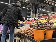 Власти Челябинска ищут новое место для ярмарки садоводов из-за реконструкции Шершневского кольца