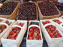 Названы самые полезные летние ягоды
