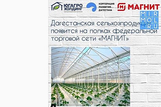 Дагестанские овощи и фрукты появятся на полках сети гипермаркетов «МАГНИТ»