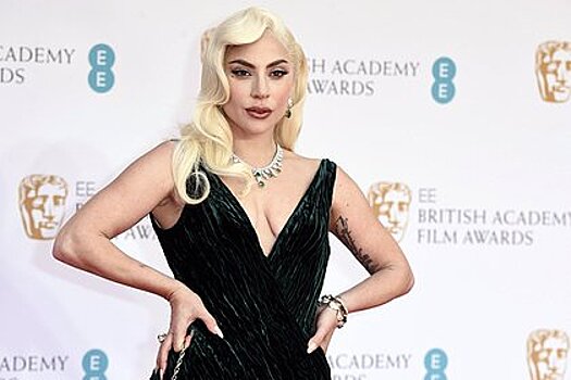 Леди Гагу перепутали с дрэг-квин во время концерта