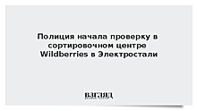 Полиция начала проверку в сортировочном центре Wildberries в Электростали