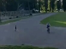 В Заречном жителям удалось отменить строительство жилого дома