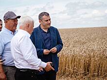 Курские агрокомпании получат льготные кредиты