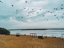 В Самарской области вода в Волге остыла до 12,3 °С