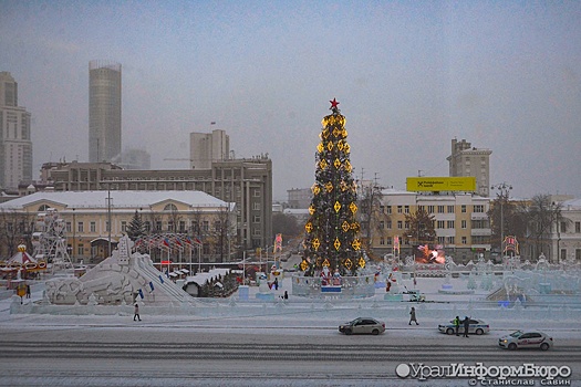 Живая или искусственная? В мэрии Екатеринбурга обсудили главную новогоднюю ёлку города