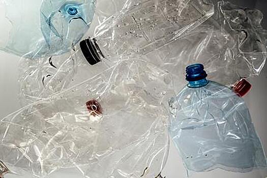 Обнаружен расщепляющий пластик за 16 часов фермент