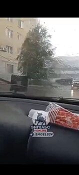 В Саратовской области мусорные баки набрасываются на автомобили и людей