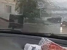 В Саратовской области мусорные баки набрасываются на автомобили и людей