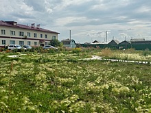 Травой зарос двор многоквартирника после благоустройства в Усть-Тарке