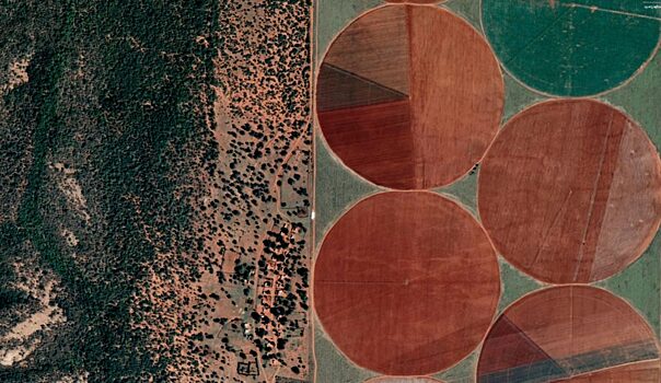 Ботсвана вспомнила про отложенные проекты