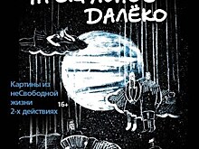 Нижегородский театр "Вера" представит премьеру спектакля "Прекрасное далёко"