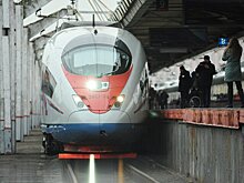 РЖД заморозили цены на новогодние "Сапсаны"