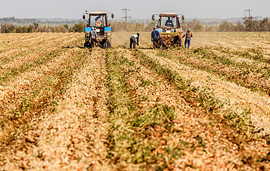 ВТБ тестирует выплаты субсидий фермерам в цифровых рублях