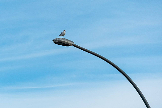 В Благовещенске на участке улицы Мухина модернизируют освещение