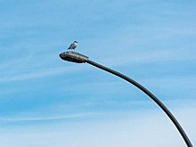 В Благовещенске на участке улицы Мухина модернизируют освещение